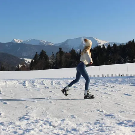 Gaehwindehof Mountain Ranch Chalet Oberstaufen