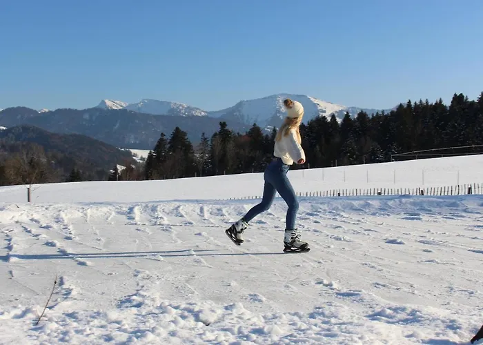 Gähwindehof Mountain Ranch Chalet Oberstaufen