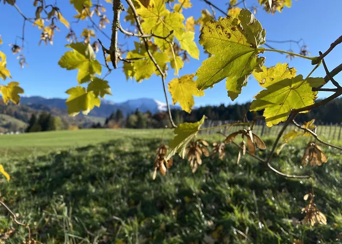 Gaehwindehof Mountain Ranch *