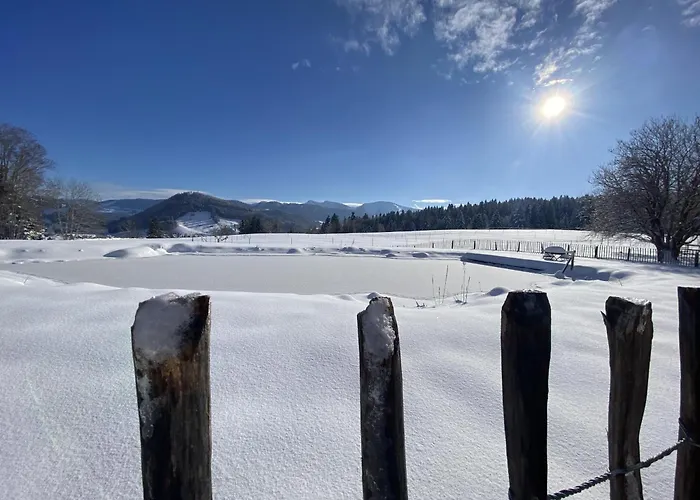 Gaehwindehof Mountain Ranch Oberstaufen